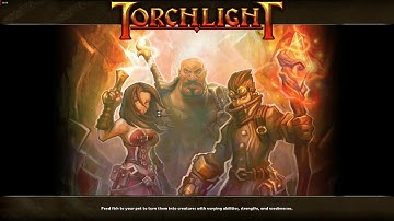 Torchlight 1 video test