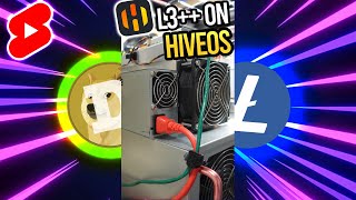HUGE EFFICIENCY Gains on my L3   with HIVEOS Firmware Upgrade | DOGECOIN LITECOIN  Miner
