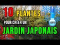 Jardin japonais  quelles plantes choisir pour crer un jardin japonais rsistants au froid 