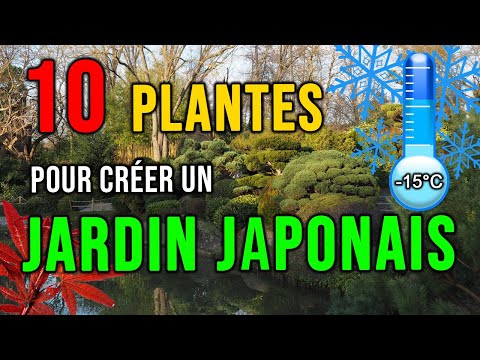 JARDIN JAPONAIS : Quelles Plantes Choisir pour Créer un Jardin Japonais? [Résistants au Froid] 😜