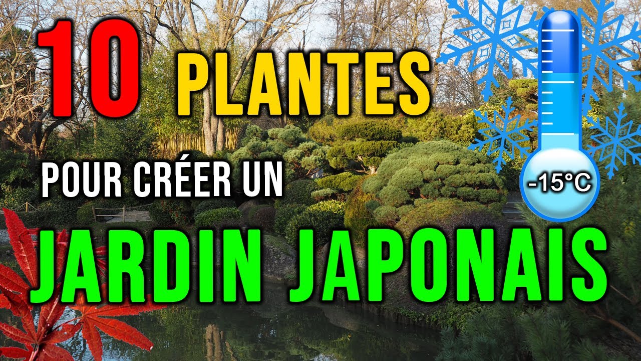 Le jardin japonais  Silence, ça pousse !