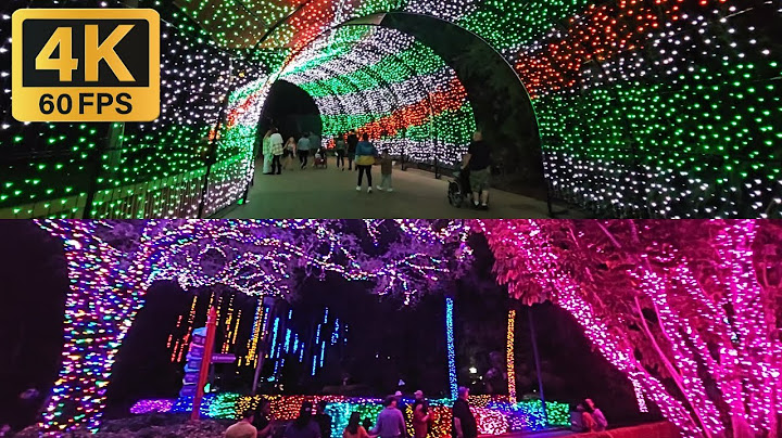 I Showed All the Busch Gardens Christmas Decorations (4K)