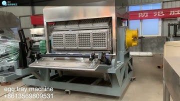 4*8 forming machine with separate egg tray mould test running