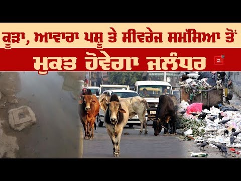 MP Santokh Chaudhary ਤੋਂ ਸੁਣੋਂ Jalandhar ਲਈ Master Plan