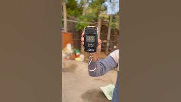 Portable electronic scale ￼| Upto 50KG