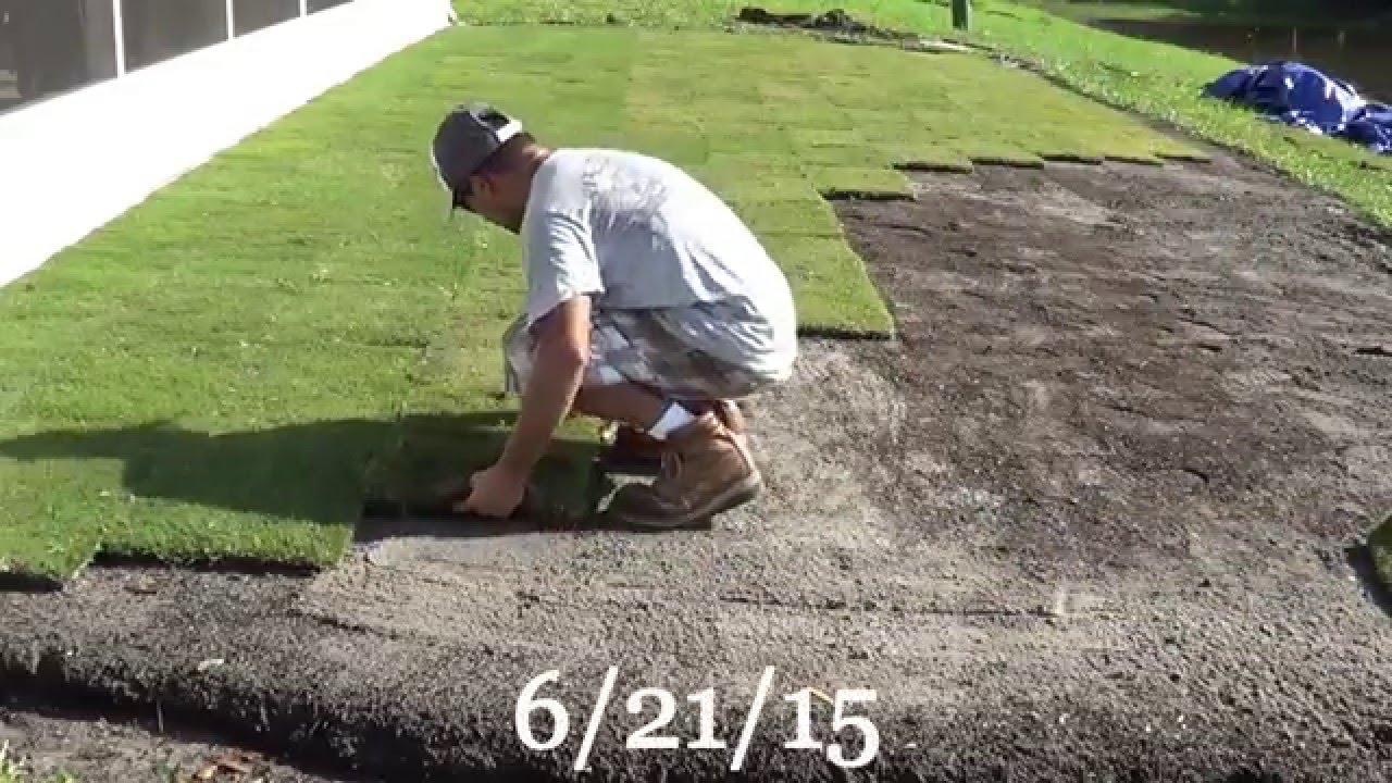 DIY Backyard Putting Green YouTube