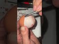 Raw egg peeling challenge : perfect Live #20