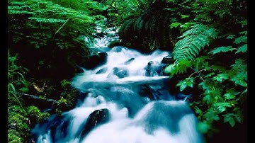 قراءه تزلزل القلب للشيخ احمد العجمي لسورة الدخان