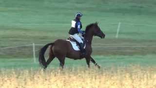 Lucia Strini & Cooley All Out Richland Park CIC* August 2015
