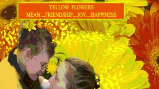 Yellow Optimism Slideshow