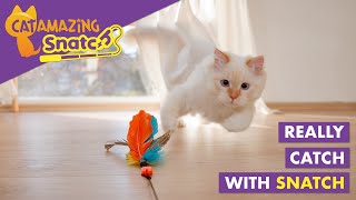 Cats REALLY CATCH with Cat Amazing SNATCH – Magnetic Cat Wand Toy!