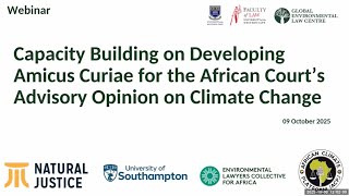 Details Webinar - Capacity Building on developing Amicus Curiae for the African Court's Advisory Opinion... Guide
