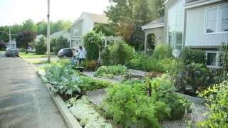 Le Potager Urbain de Drummondville, Québec