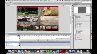 Flash CS5/CS6 Classroom in a Book Lesson 8: Working with Sound and Video