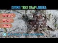 Diving Tres Trapi, Aruba | The Shore Dive Collection | TropicLens