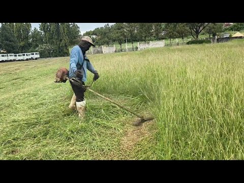 Grasscutting for the month of December 12, 2024 using blade