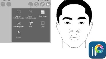 Learn how to copy and paste on ibispaintx