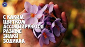 HOROSCOPE Гороскоп