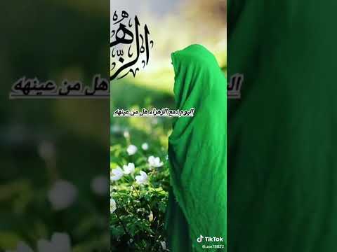 قصيد0ه محزنه على فاطمه الزهراء عليها السلام في قصيده قصيره 