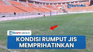 Begini Kondisi Rumput JIS Jelang Laga Uji Coba Persija vs Brisbane Roar: Tak Rata, Memprihatinkan