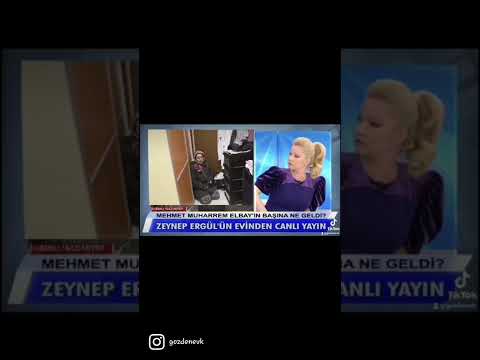 Tuçe kediler ekmeği yiyi
