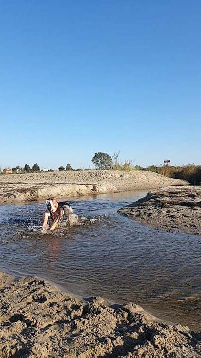 SLAY🤭 #music #xd #theriantropy #therians #beach #cat #sigma