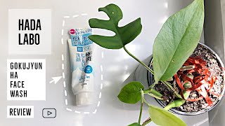 Hadalabo Gokujyun Hyaluronic Acid Face Wash Review