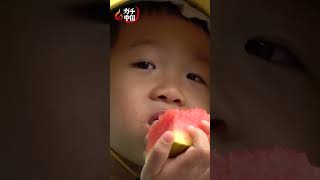 ガチ中国20)山東省・泰山　険しい山できゅうりが流行？