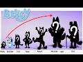 Bluey heeler growing up compilation  cartoon wow
