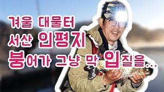 [세모낚TV]서산 인평지 붕어 마릿수/박현철/대물붕어/붕어낚시/carp fishing/KOREA FISHING/해결사의대물속공낚시160화/フナ釣り/바낙스,비바보트/겨울붕어 대물터