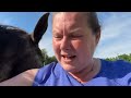 FB Goldy's Farm Animal Sanctuary Mail Chat/Tea Time ET Misty Thank You All 642026