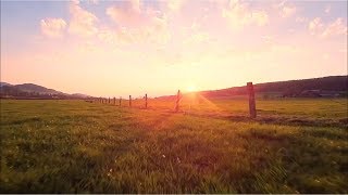 Im learning to fly FPV - Tuning Moves and Low Flight into the Sunset