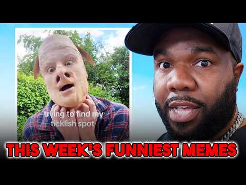 Will I Laugh? NemRaps Try Not To Laugh 452
