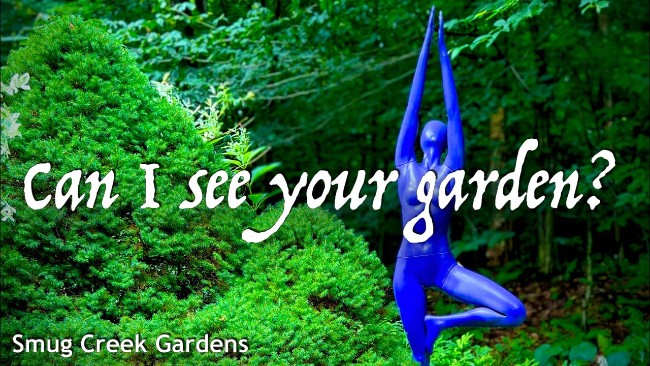 I found her otherworldly garden on top of a creek