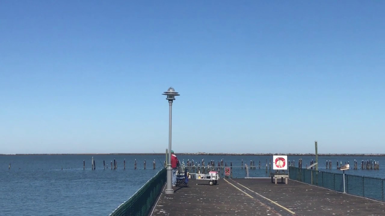 Cape Henlopen Fishing Pier Lewes Delaware YouTube