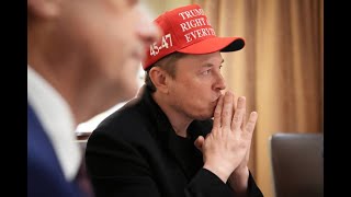 Elon Musk's Political Motivations Are His Own, Says Tesla Chair