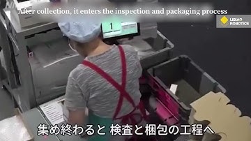 Japanese cosmetics company—ORBIS