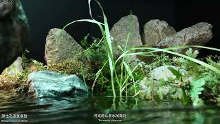 #BADC2022 / Quanquan Pool, headwaters of Xianghe River in Qinling Mountains, Xi'an, China, 90 L