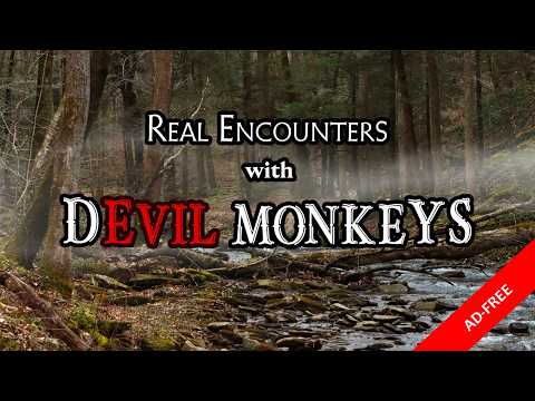 Devil Monkeys in North America: Viewer Encounters [Ad-Free]