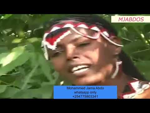 MULUU Baqala Dama Sholle Tiyya