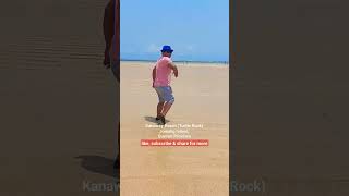 Kanaway Beach Turtle Rock - Jomalig Island