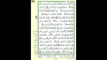 الصفحة ٤٦ من القرآن الكريم...القارئ د.بريك سعد بريك