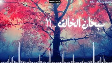 اجمل ايات قرانية من سورة النمل بصوت جميل جداً ❤ | حالة واتساب