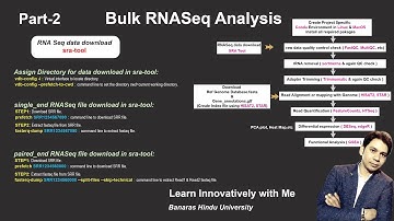 Bulk RNA-Seq Analysis Demystified: Step-by-Step Tutorial Part 2