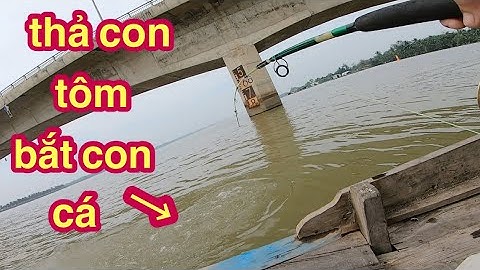 Phải Săn Bằng Được Con Cá To Ở Khu Sông Này @Xuanthuong91