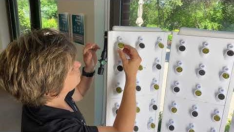 Flex Farm Planting Day