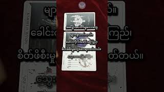Daily General Reading for 6.3 2026 #wmminuniverse #foryou #predictions #tarotreading #readtarot