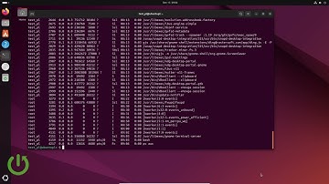 How to Use sort Command on Linux