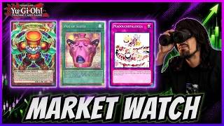 MORE GRANDMASTER RARES AND META BUYOUTS! Yu-Gi-Oh Market Watch!
