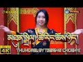 Tibetan song thundrel by tsering choenyi   rip
